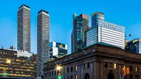 Pexels scottwebb 2385543